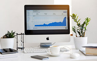  趣味熊猫压球 点燃2026美加墨世界杯热情